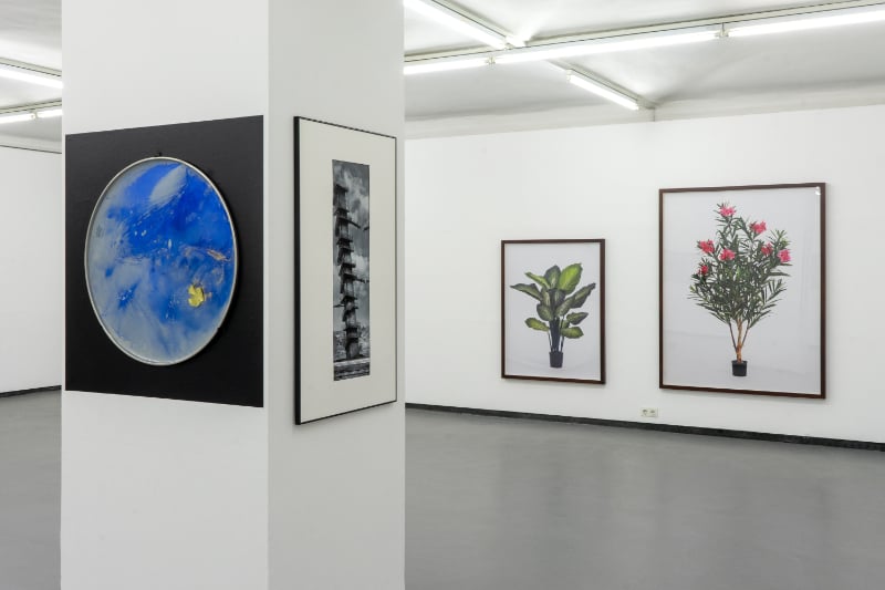 ../images-2022/Hammerstiel_PasDeDeux_Fotogalerie_05.jpg